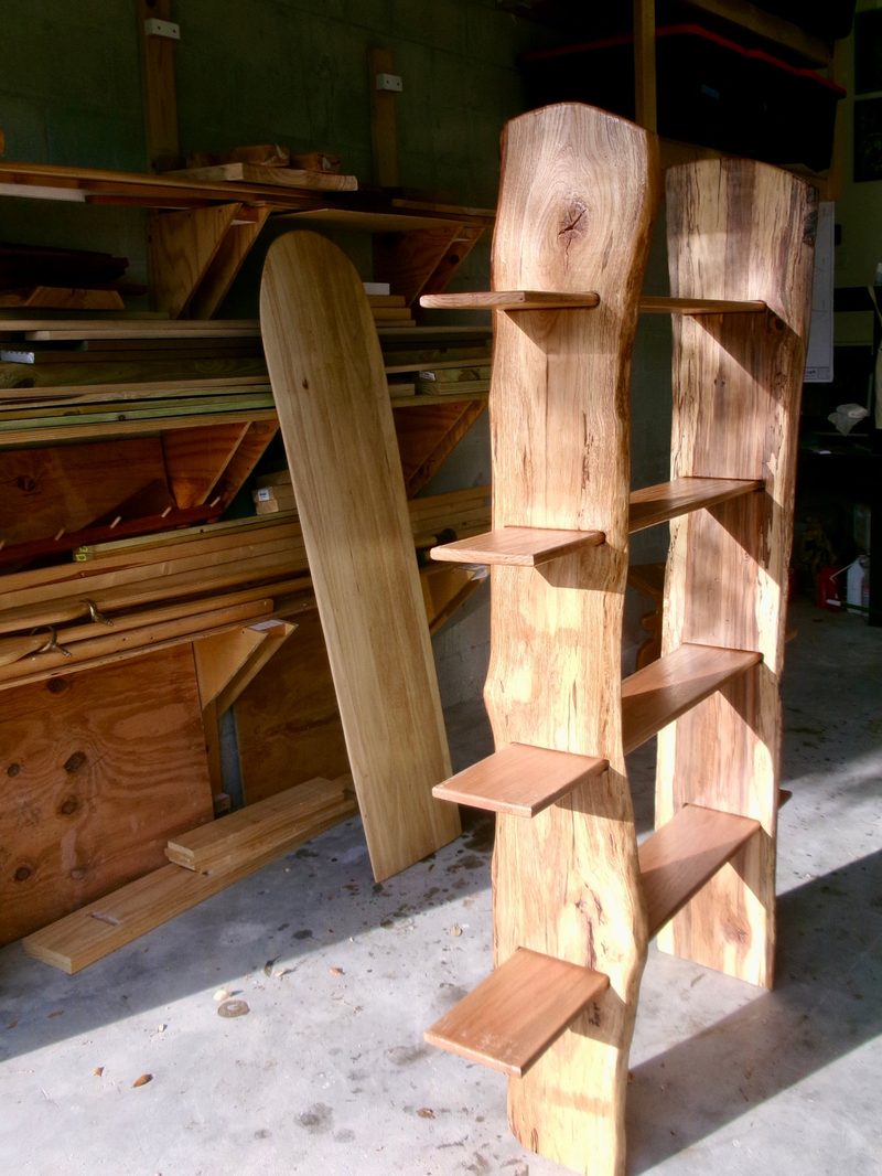 bookshelf in the shop