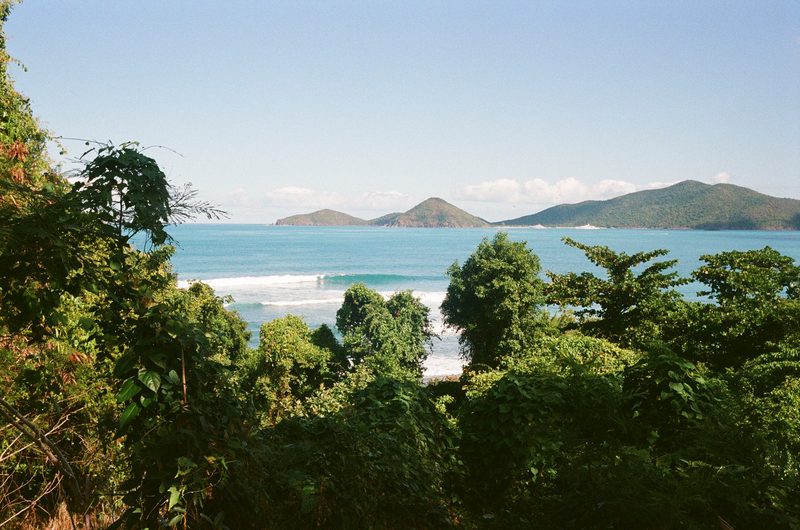 islands through the trees
